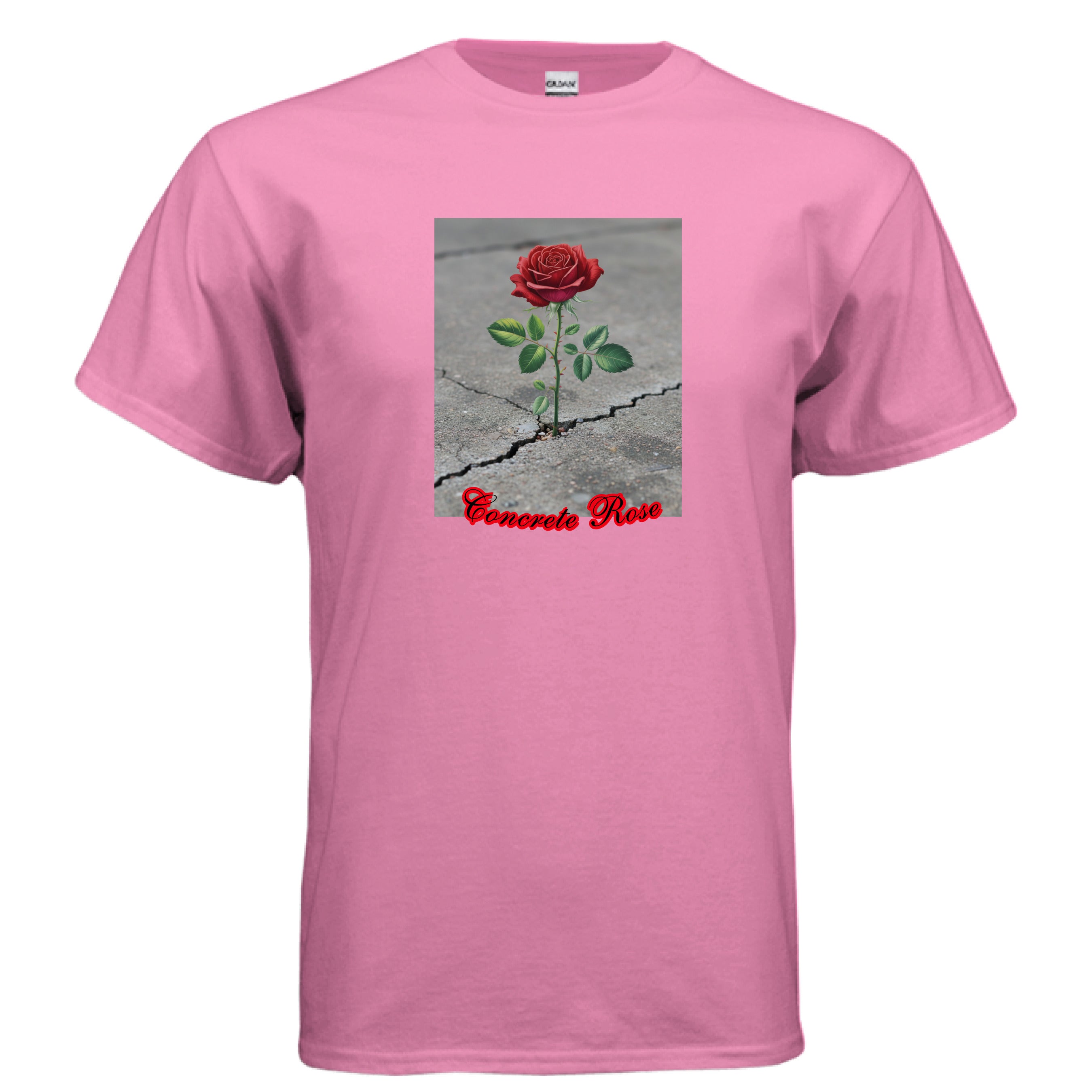 AZALEA - FRONT